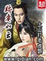 娇妻如云小说阅读