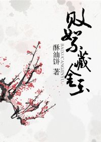败絮藏金玉小说阅读