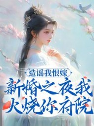 主角是木婉云沈阔的小说阅读