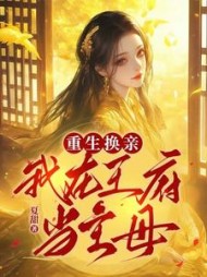 重生换亲：我在王府当主母阅读小说阅读