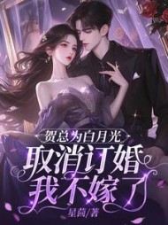 贺总为白月光取消订婚,我不嫁了小说阅读