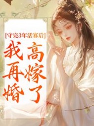 守完3年活寡后，我再婚高嫁了小说阅读