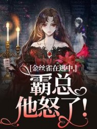 金丝雀在逃中，霸总他怒了阅读小说阅读