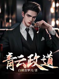青云政道阅读小说阅读