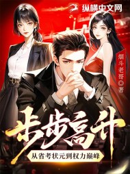 步步高升：从省考状元到权力巅峰阅读小说阅读