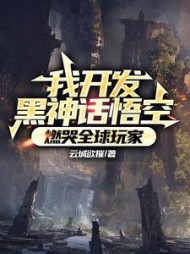 我开发黑神话悟空，燃哭全球玩家小说阅读
