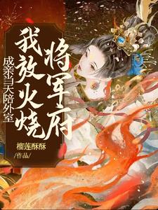 成亲当天陪外室，我放火烧将军府小说阅读