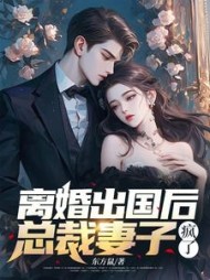 离婚出国后，总裁妻子疯了阅读小说阅读