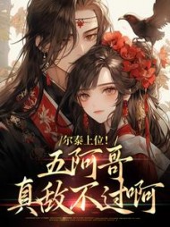 尔泰上位！五阿哥真敌不过啊小说阅读