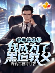 被逼离婚后，我成为了黑道教父阅读小说阅读