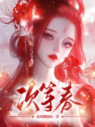 次等春小说阅读