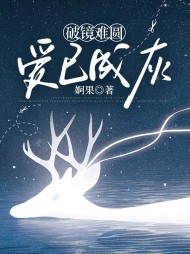 破镜难圆，爱已成灰阅读小说阅读
