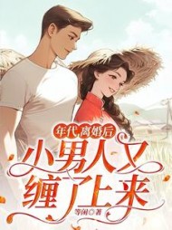 年代，离婚后小男人又缠了上来阅读小说阅读