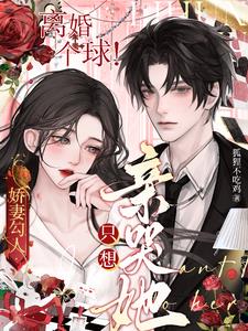 娇妻勾人：离婚个球！只想亲哭她小说阅读