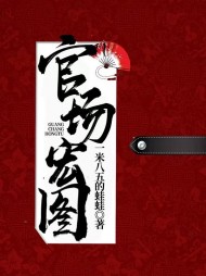 官场宏图阅读小说阅读
