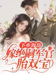 下乡海岛，嫁绝嗣军官一胎双宝阅读小说阅读