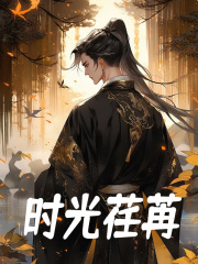 时光荏苒杨晨阅读小说阅读