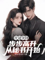 仕途争锋，步步高升从秘书开始朱长峰小说阅读