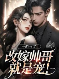 一胎三宝改嫁帅哥就是宠(林清月)小说阅读