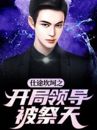 仕途坎坷之开局领导被祭天阅读小说阅读