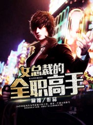 女总裁的全职高手陆风结局小说阅读