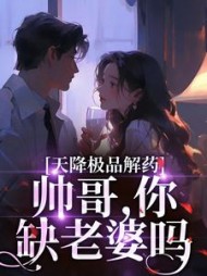 天降极品解药:帅哥,你缺老婆吗阅读小说阅读