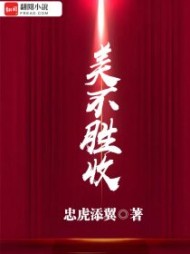 美不胜收甄宝玉最新小说阅读