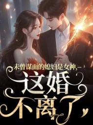 未曾谋面的媳妇是女神，这婚不离了小说阅读