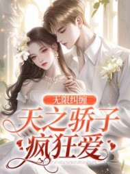 无限纠缠:天之骄子疯狂爱桑宁陆云辞小说阅读