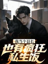我当个县长也有疯狂私生饭(未见清风)小说阅读