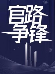 官路争锋乔红波小说阅读
