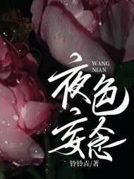 夜色妄念岑笑棠商君年完整版小说阅读