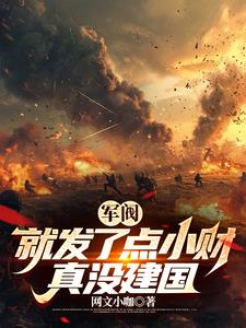 军阀：就发了点小财，真没建国阅读小说阅读