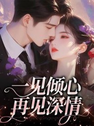 一见倾心，再见深情阅读小说阅读
