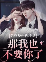 老婆身份你不认?那我也不要你了阅读小说阅读