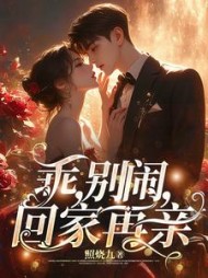 乖,别闹,回家再亲林欢崇礼小说阅读