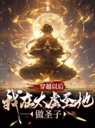 穿越以后,我在太虚圣地做圣子小说阅读