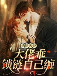 叶离殷北小说阅读