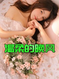 温柔的晚风(老佟)阅读小说阅读