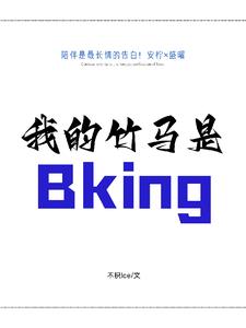 我的竹马是Bking小说阅读