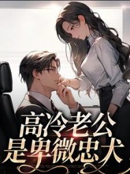 高冷老公是卑微忠犬辛甜小说阅读
