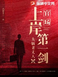 官场上岸第一剑先斩老丈人阅读小说阅读