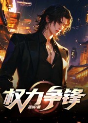 权力争锋陈平生阅读小说阅读
