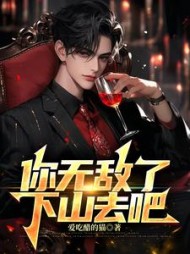 你无敌了，下山去吧叶尘阅读小说阅读