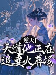 逆天天道他正在追妻火葬场庄瑶华小说阅读