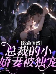 傅辰笙沈漓小说阅读