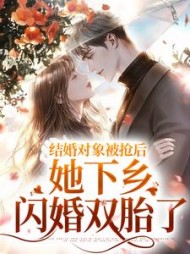 结婚对象被抢后,她下乡闪婚双胎了小说阅读