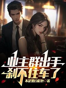 业主群出手，刹不住车了阅读小说阅读
