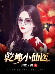 乾坤小仙医陆晨张丝雨阅读小说阅读