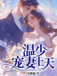温少宠宠妻上天阅读小说阅读
